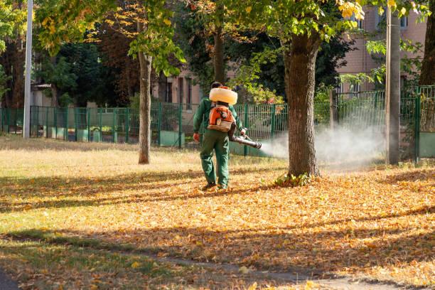 Best Affordable Pest Control Services  in Newtown Grant, PA